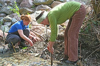 Riparian planting project