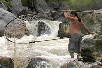 Traditional Karuk fisherman with dip net