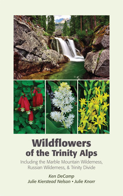 The Wildflowers of the Trinity Alps guidebook covers the entire Salmon River watershed and beyond.